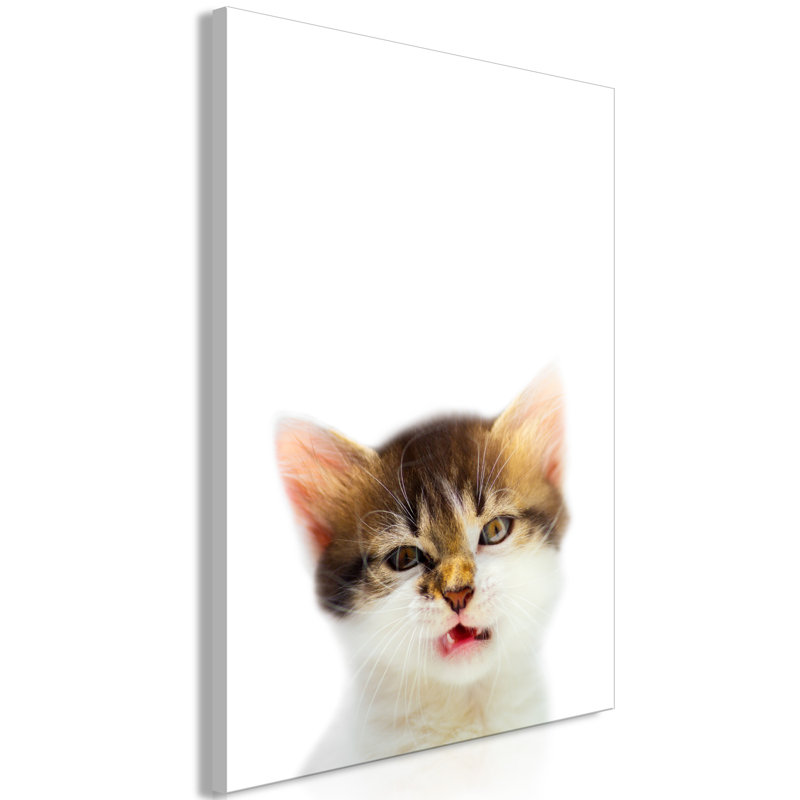 No Frame Print on Canvas, 40cm H x 60cm W