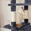 206cm H Cat Tree-105628841-57341743