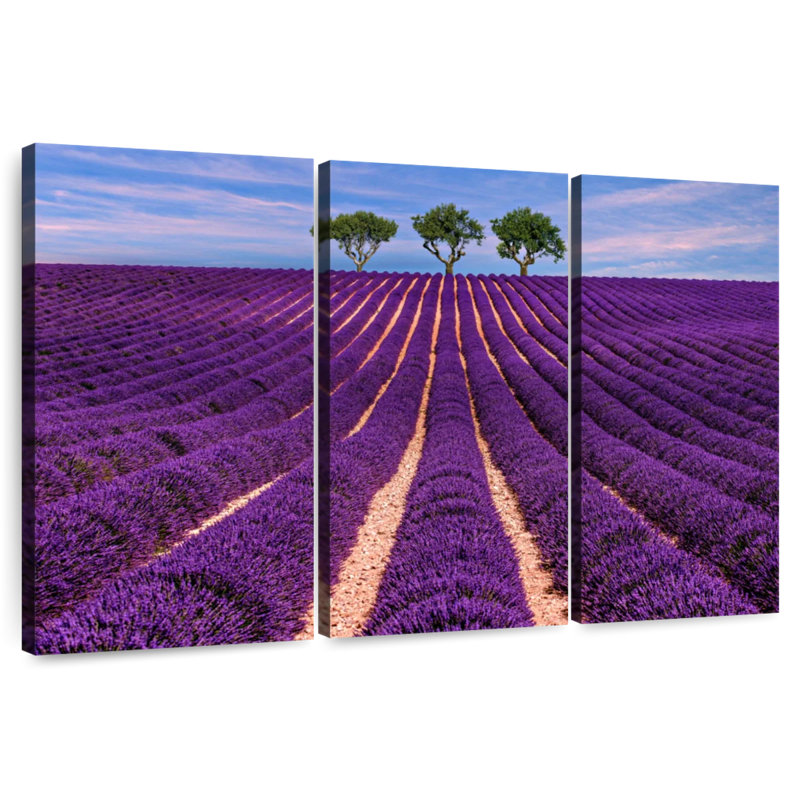 Alvord Provence Summer Lavender Rows, 20" H x 33" W