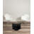 Izola Sheepskin Animal Print Indoor Rug