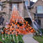 Giant Halloween Spider Web Decoration Set with Colorful Furry Spider