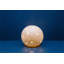 Masayo Novelty Lamp