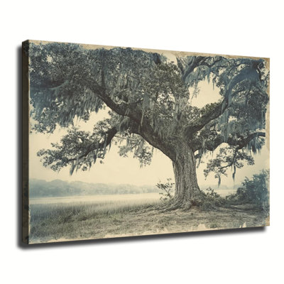 Photo rétro de chêne antique du sud avec de la mousse espagnole, grande reproduction d'art sur toile tendue pour salon, chambre à coucher
