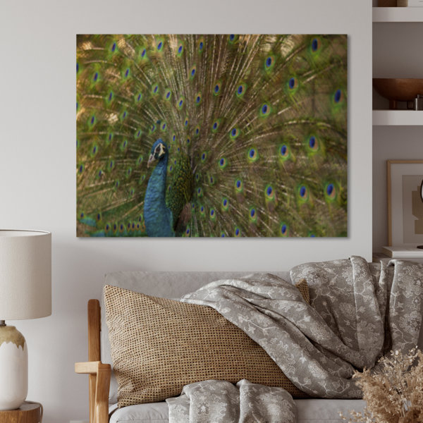 House of Hampton® Beautiful Peacock With Feathers On Wood Print | Wayfair