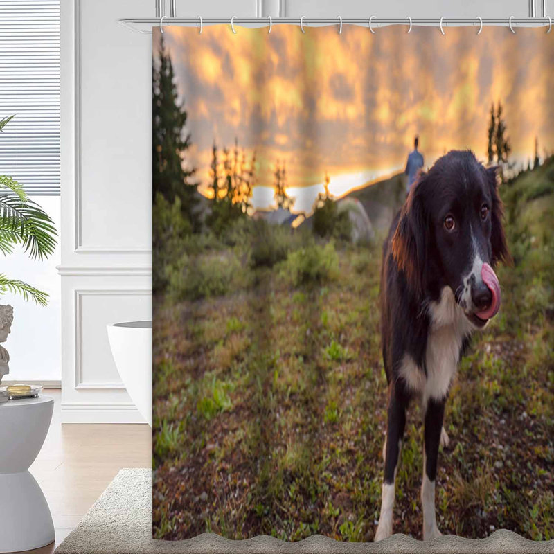 Rideau de douche Dog Mountain Sunset, L 72 po x l 72 po