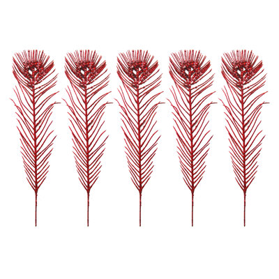 Plume de paon sur tige