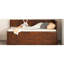 Lit de jour simple avec tiroirs et tablettes fonctionnelles en noyer chic - Chambre Glamour