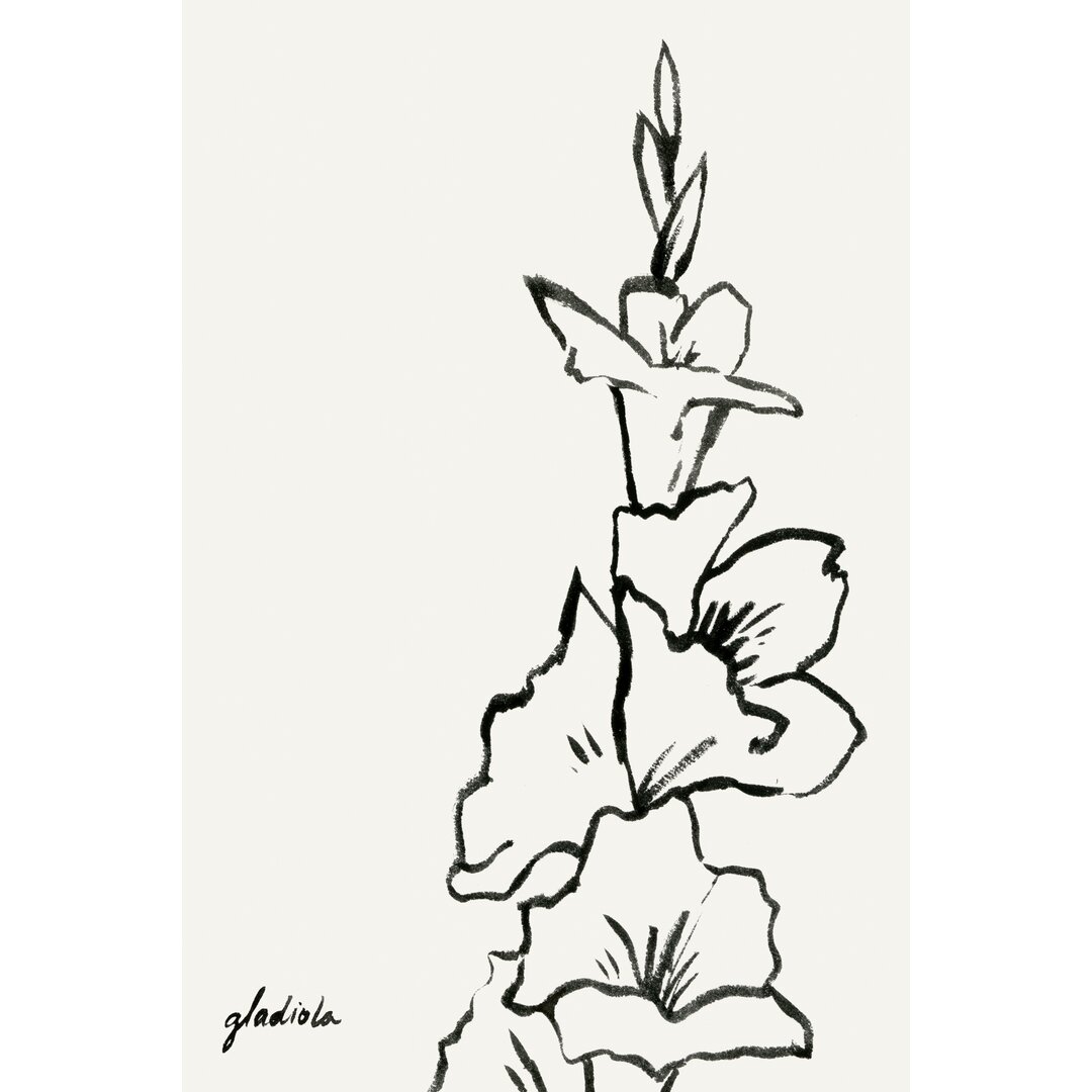 Leinwandbild Gladiola Sketch IV von Grace Popp