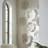 Juvan Polyresin Coral-Inspired Disc Wall Decor