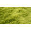 Breeze Solid Colour Hand Woven Area Rug-376828067