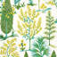 Pandora Embroidery Fabric