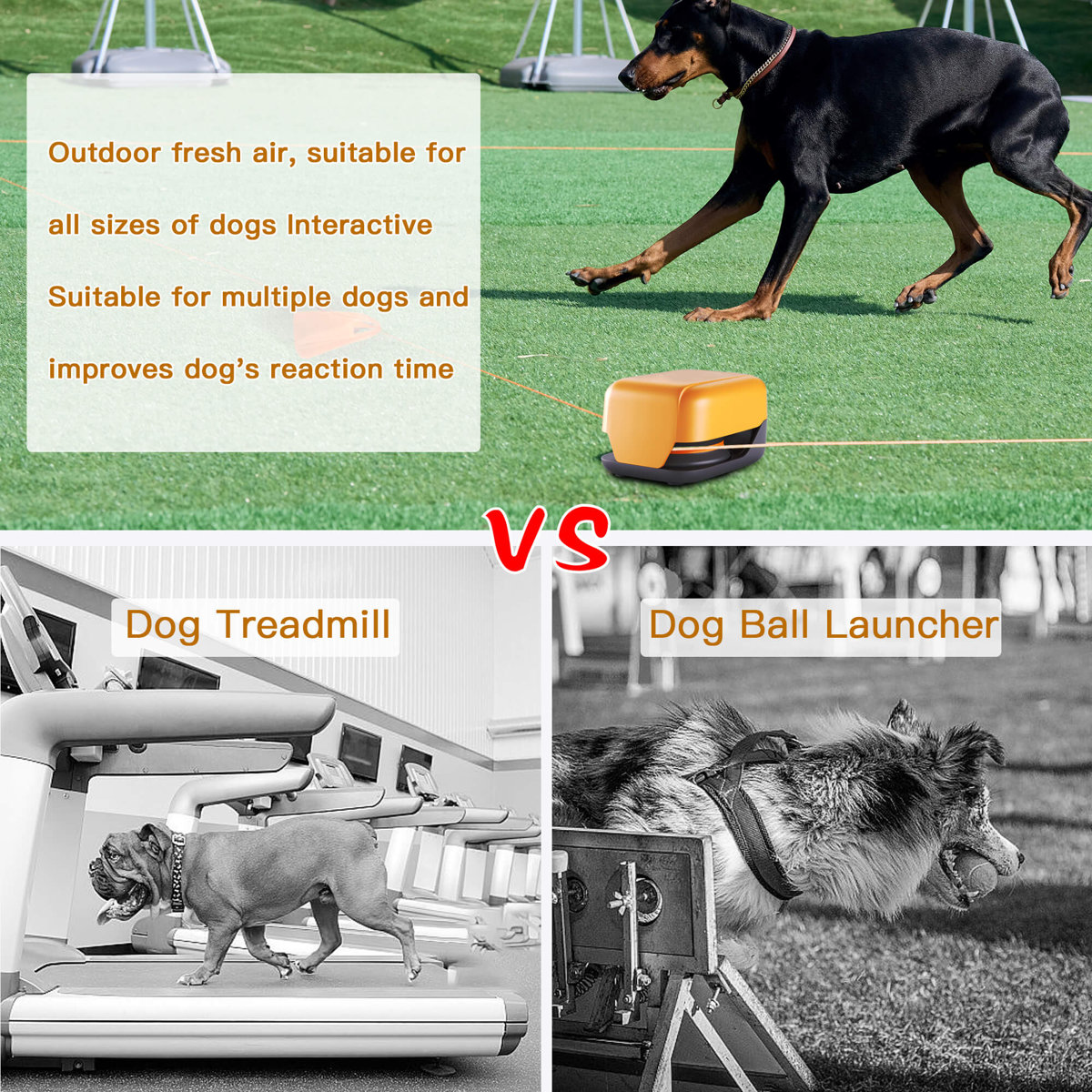 POPRHINO Remote-Control Pet Chase Toy For Outdoor Exercise & Training ...