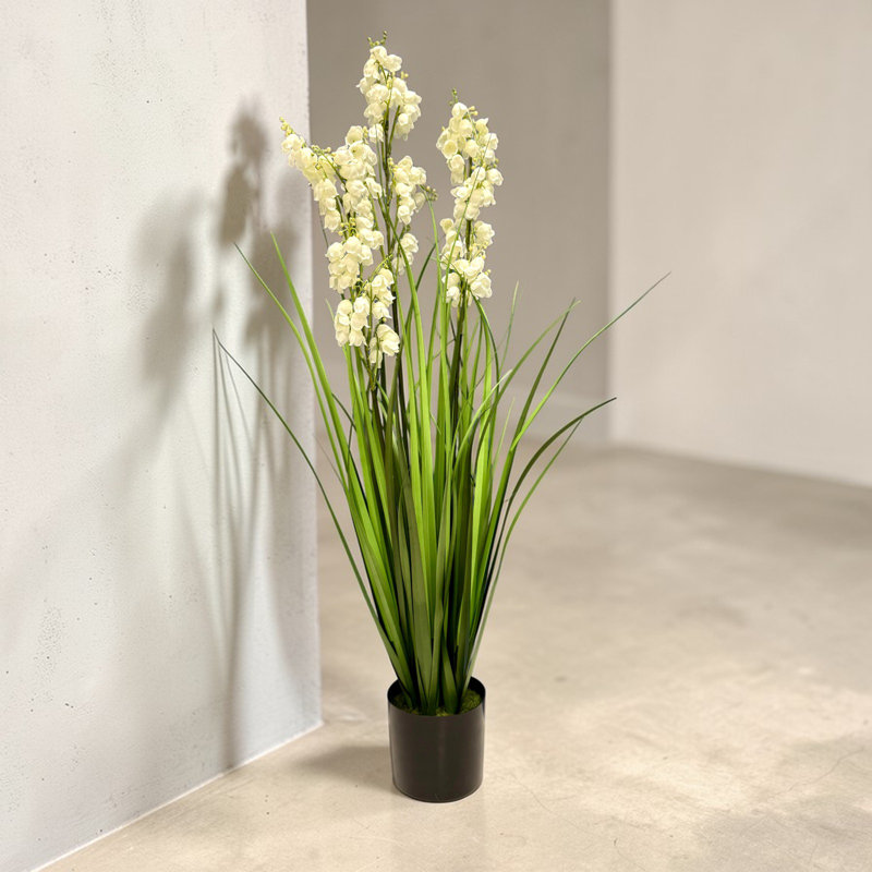 Bellflower Grass In A Pot