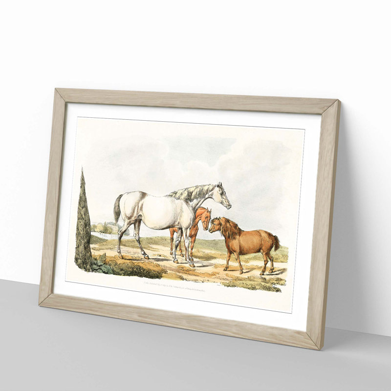 Two Horses & a Pony by Henry Alken - Framed Print, 27cm H x 36cm W x 2cm D, Oak Framed