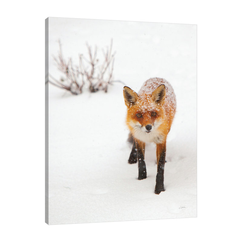 "Red Fox III", toile tendue par Aledanda, H 48 po x l 36 po x P 1,5 po