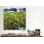 «Auvers at Auvers» par Vincent Van Gogh, reproduction d'art sur toile