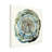 Dan Hobday Water Oak Canvas Art