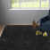 Assar Black Area Rug