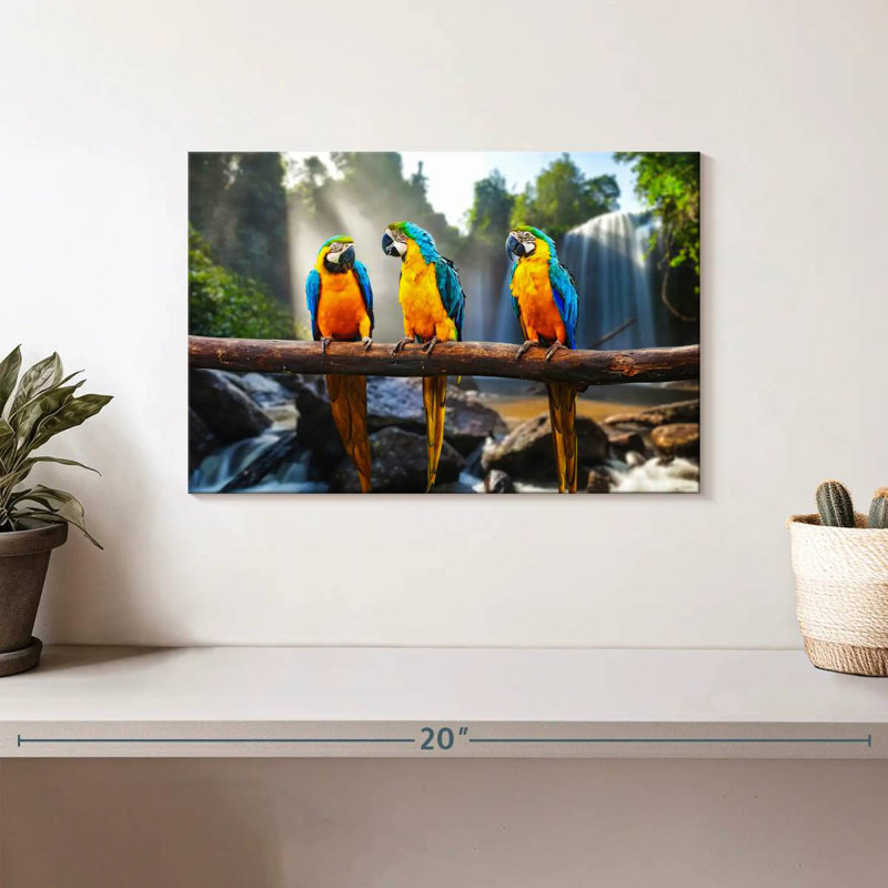 Brampt Macaw Friends, 8" H x 12" W