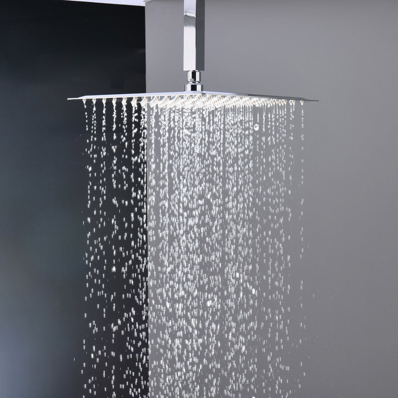 Douche murale contemporaine - Douche de salle de bain polie et tête de douche de luxe, Argent argent