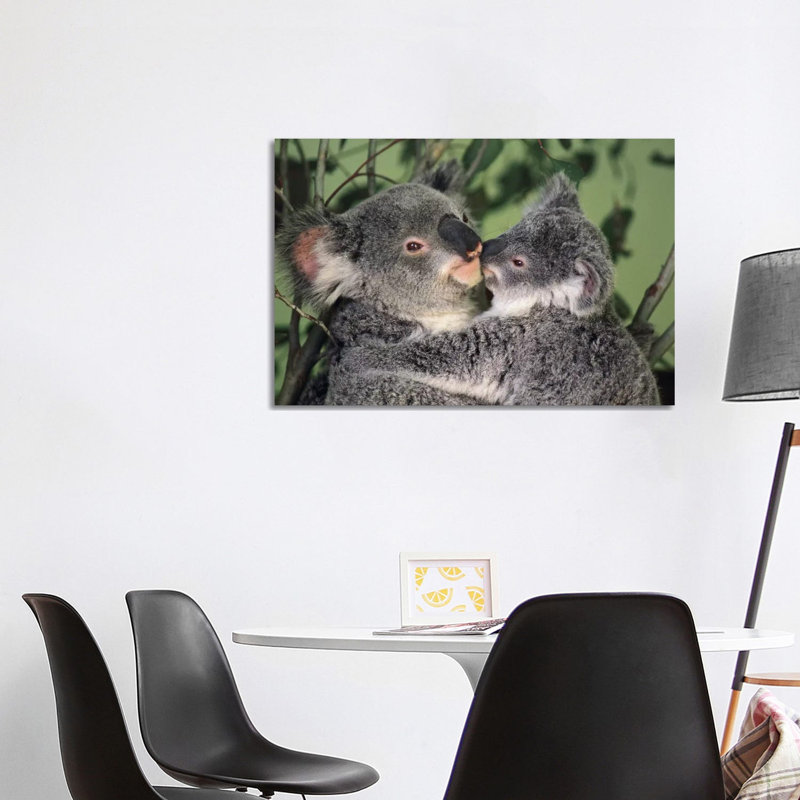 Koala Mother With Joey, Australia by Gerry Ellis - Wrapped Canvas Print, 101.6 cm H x 66.04 cm W x 1.91 cm D
