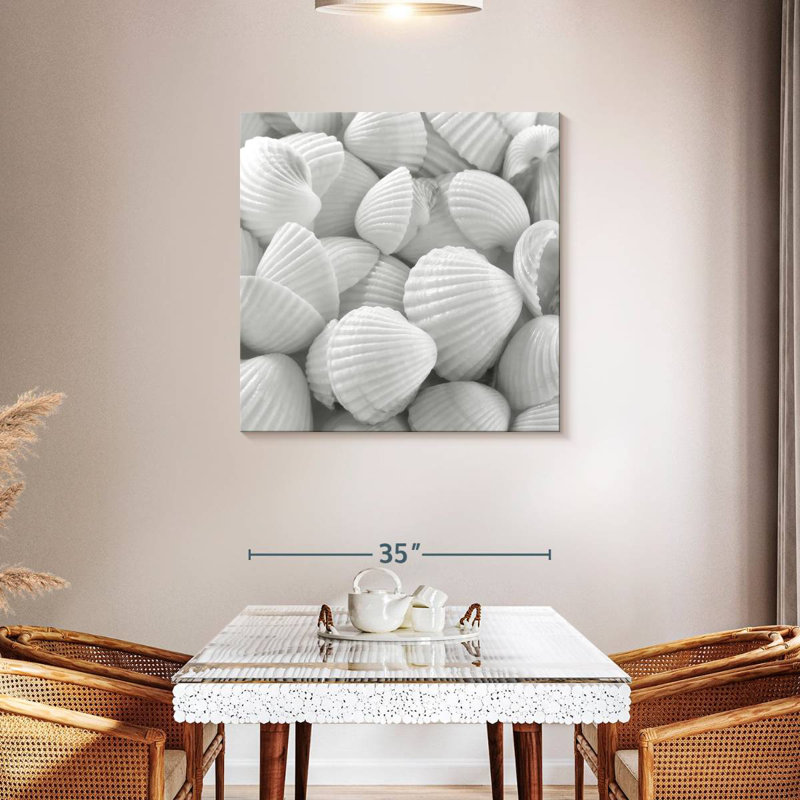 Coquilles blanches Aletra