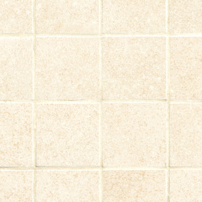 Carreau de mosaïque de plancher et de mur en porcelaine mate 12 po x 12 po Betonica