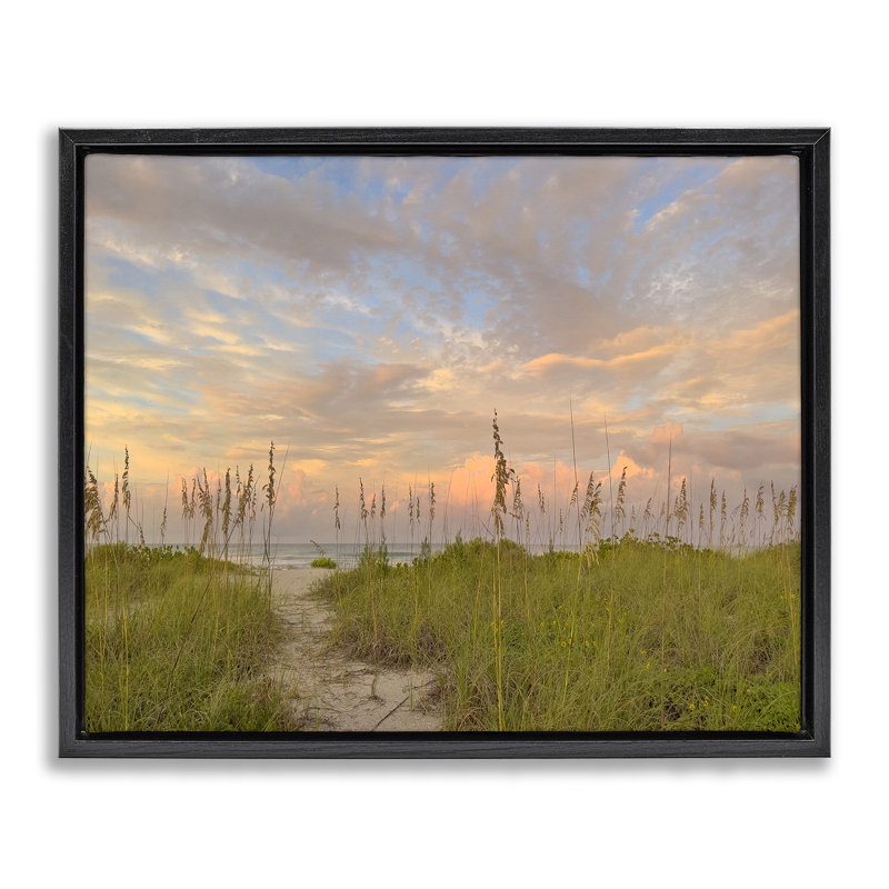 Cadre flottant Serene Coastal Path, Cadre flottant noir de jais, H 17 po x l 21 po