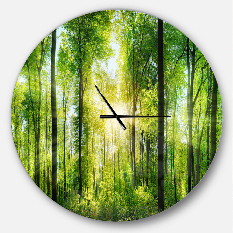 Forêt avec les rayons du soleil - horloge murale moderne, Surdimensionné