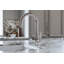 Armstrong™ Pull-Down Bar Faucet with Accessories-49377584