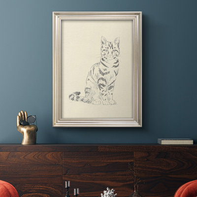 " House Cat IV "