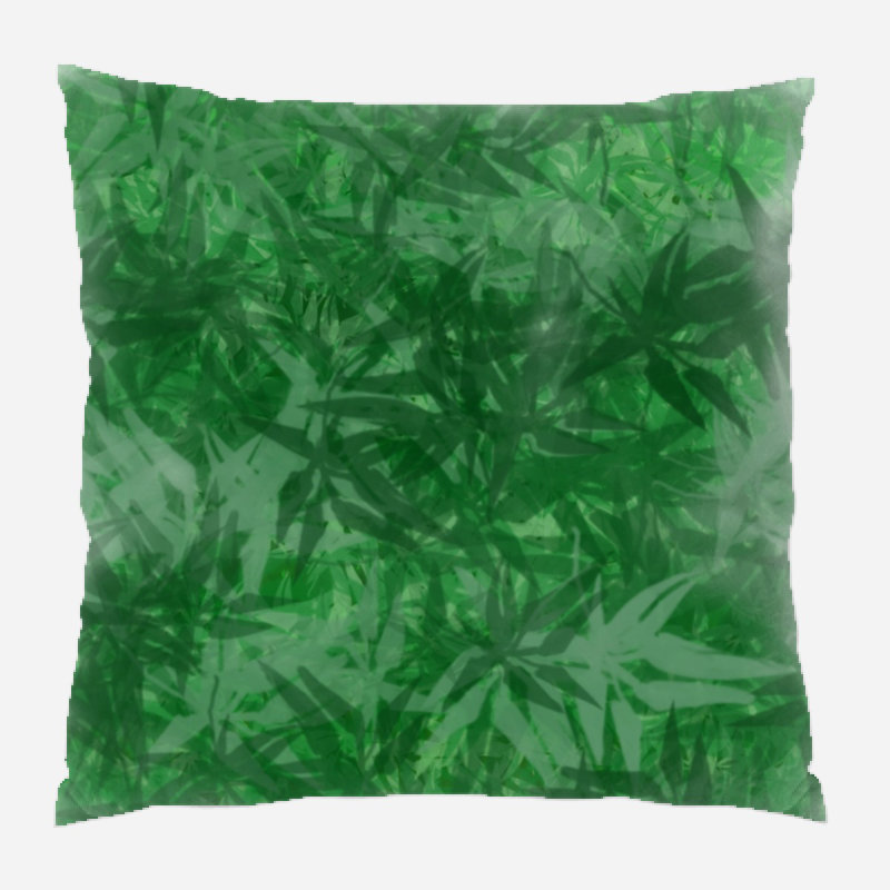 Coussin décoratif transparent, Intérieur