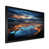 Black Picture Framed