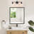 3 - Light Dimmable Vanity Light