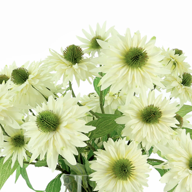 White Rudbeckia In Glass Vase