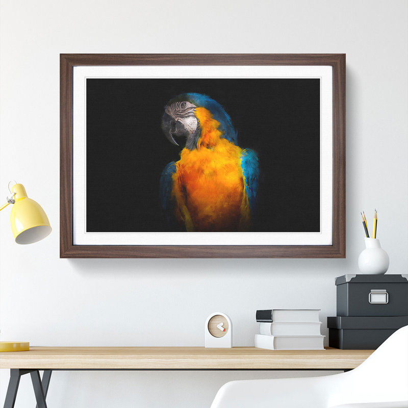 A Blue and Yellow Macaw Parrot - Picture Frame Graphic Art, 48cm H x 65cm W x 2cm D, Walnut Framed