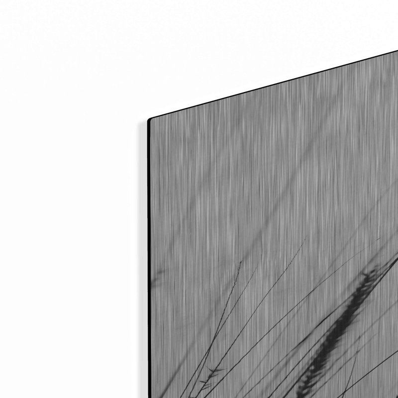 «Field Grasses I White» par Debra Van Swearingen, H 36 po x l 24 po