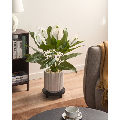 Artificial Plant SPATHPHYLLUM 70 cm Green