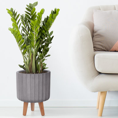 Concrete Effect Cylinder Round Planter on Hardwood Legs, Round Indoor Plant Pot Stand for Indoor Plants, Indoor Flower Pot with Ribbed Pattern