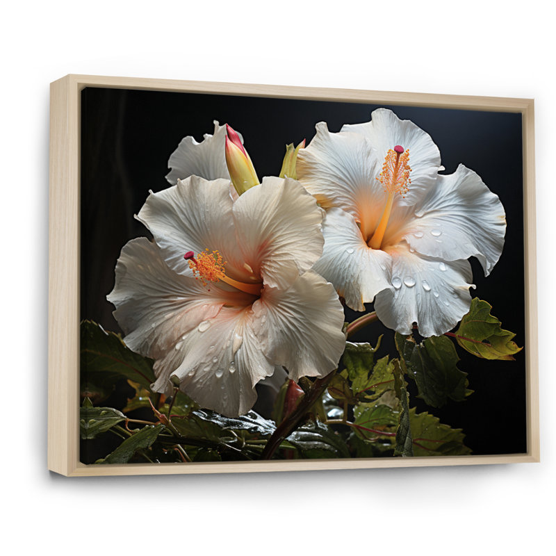 Hibiscus Field - Floral Canvas Prints, Cadre naturel flottant, H 16 po x l 32 po x P 1 po