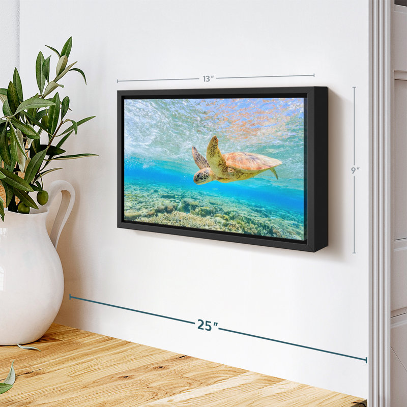 Turtle Dive Canvas Print, 9" H x 13" W