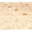 Tapis en soie beige / orange à motif floral 8 pi x 10 pi