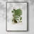 Fern I Framed Print - Solid Wood