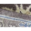 Tapis Genavive