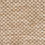 Machine Braided 150cm X 150cm Indoor / Outdoor Area Rug