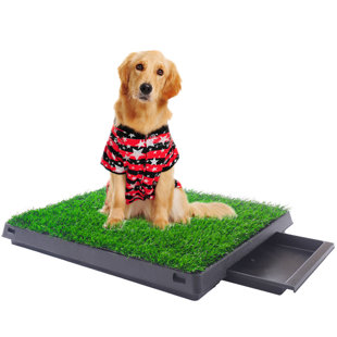 Toilette pour animaux de compagnie, portable à l'intérieur et à l'extérieur avec plateau, convient aux patios, balcons et porches