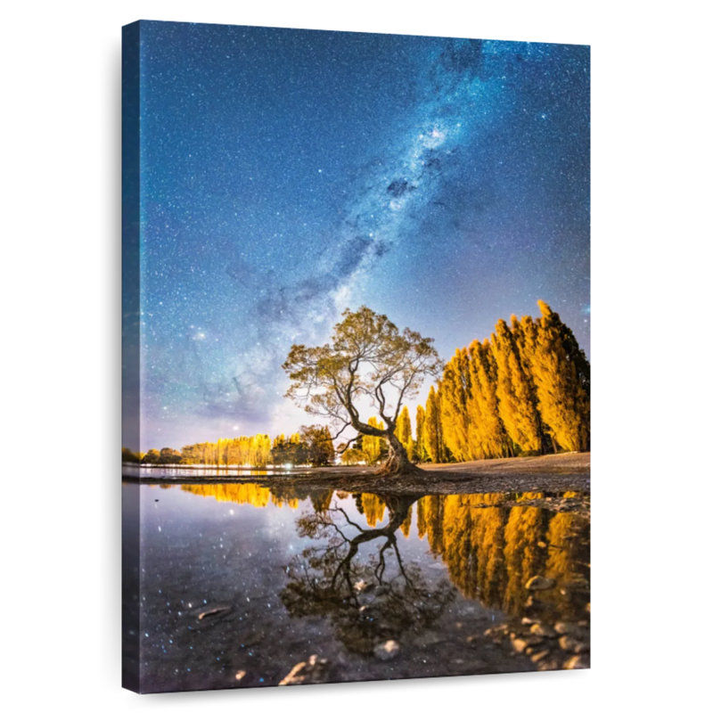 Voie lactée Oberle sur un arbre Wanaka, H 30 po x l 20 po