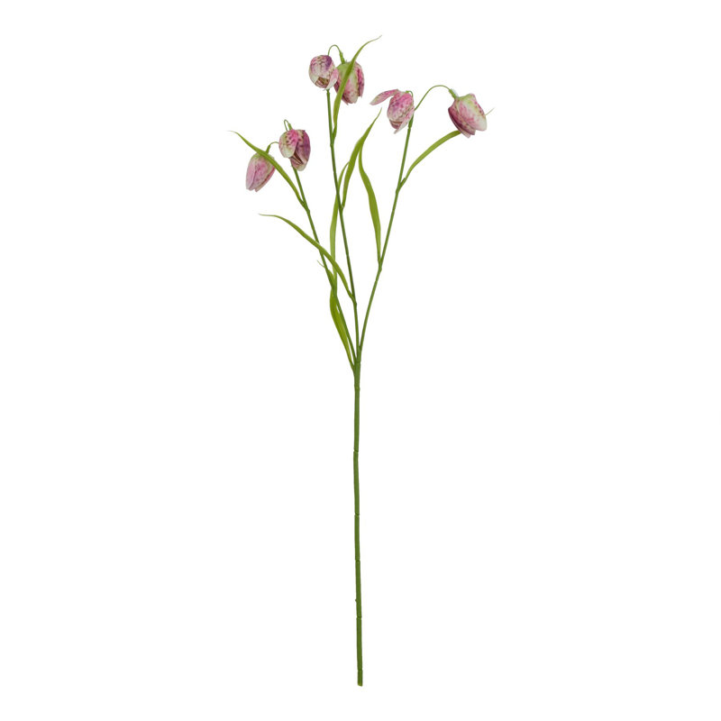 Anastasija Arrangement, Purple