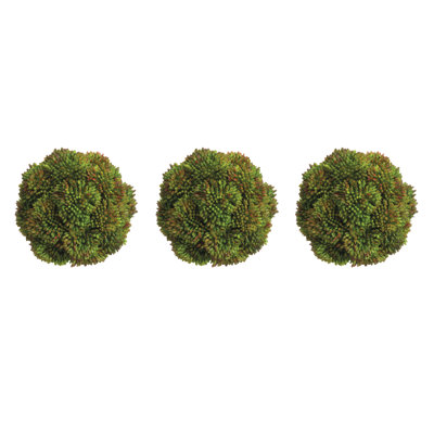 Boules de Sedum décoratives