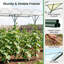 246cm H x 197cm W Metal Arched Trellis